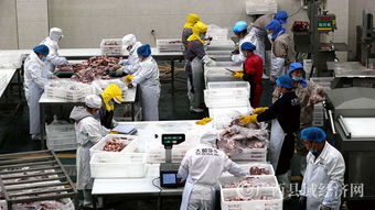 都安縣 牛肉市場(chǎng) 牛氣沖天 產(chǎn)品旺銷(xiāo)