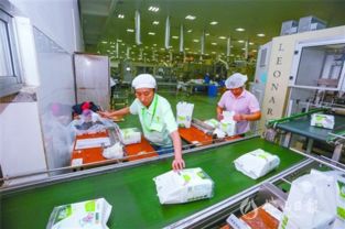 西樵 以產業集聚式發展撬動新動能