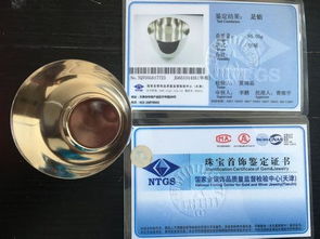 濰坊尚萊特實業主要生產什么產品,公司成立于什么時間.公司簡介,公司信譽怎么樣,公司詳細地址在哪里,