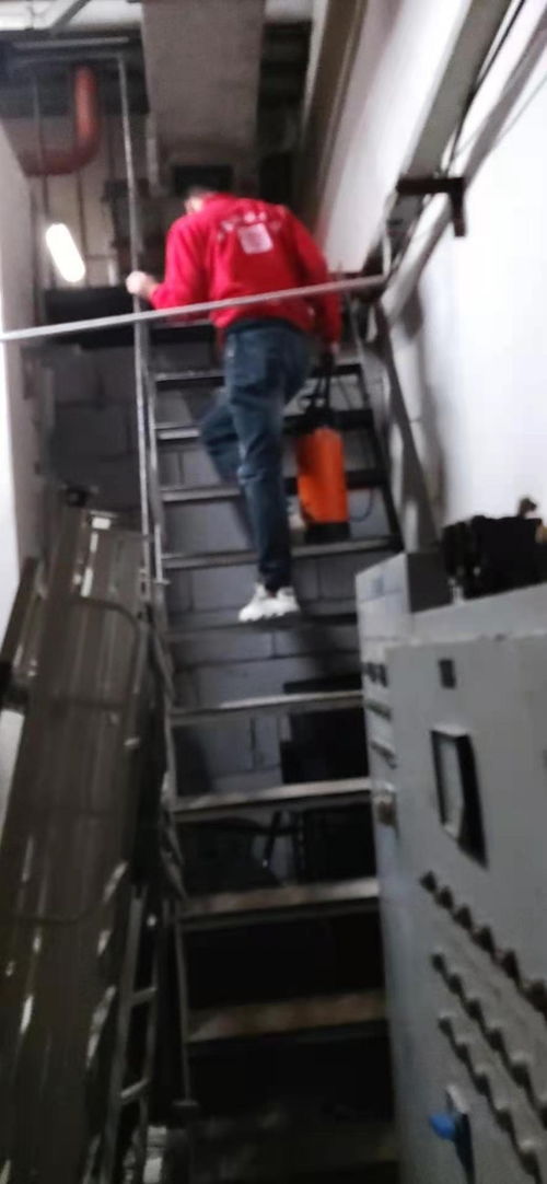 房山區(qū)滅蟑公司 滅蚊蠅哪家服務(wù)好