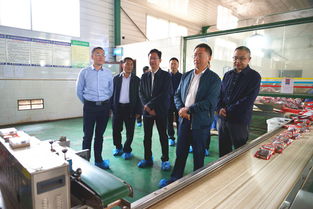 省統計局副局長陳智一行來青川調研