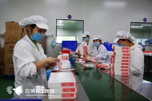 抗疫發展 兩不誤 是這樣煉成的 應城七家重點工業企業抗疫保發展成效紀實