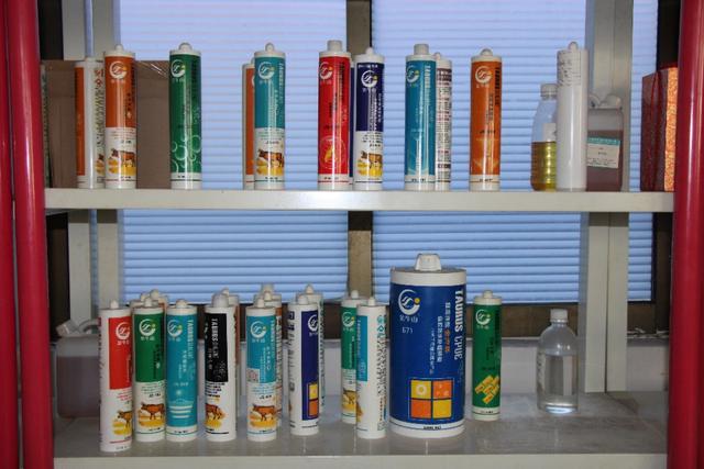 秀外慧中 霞之大者 東莞市鑫彪實業投資總經理程秀霞